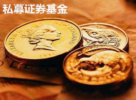 金泽城投债8号私募证券投资基金(泽源7号私募证券投资基金)