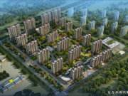 2022年山东齐河城投6号合同存证(齐河划济南最新消息)
