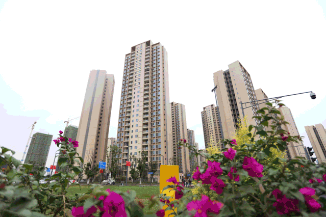 河南涧西区兴隆寨安置房2022年债权项目的简单介绍