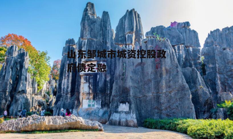 山东邹城市城资控股政府债定融