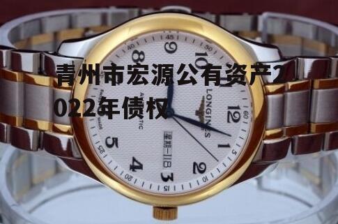 青州市宏源公有资产2022年债权