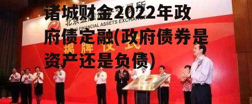 诸城财金2022年政府债定融(政府债券是资产还是负债)