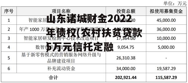 山东诸城财金2022年债权(农村扶贫贷款5万元骗局)