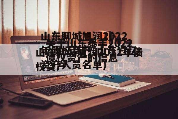 关于山东泰丰2022债权资产的信息
