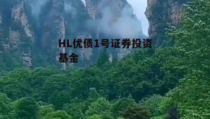 HL优债1号证券投资基金