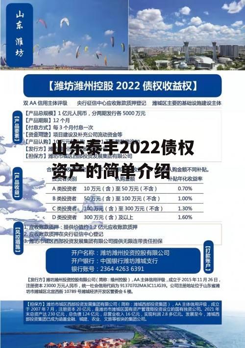 山东泰丰2022债权资产的简单介绍