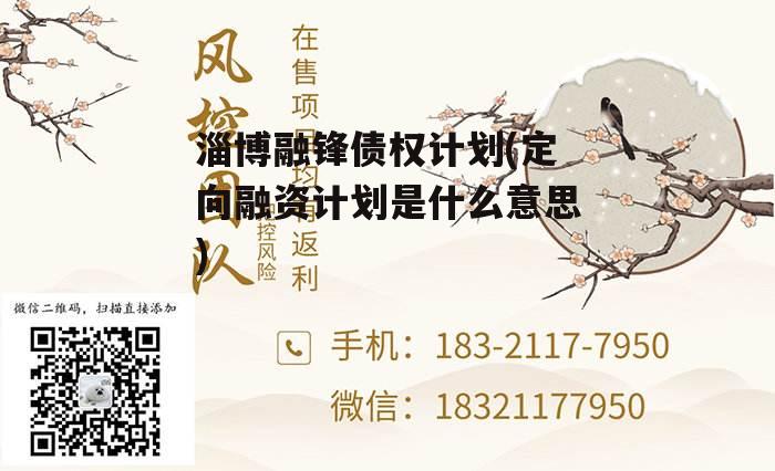 淄博融锋债权计划(定向融资计划是什么意思)