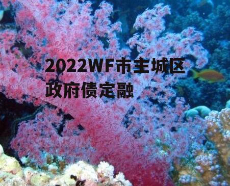2022WF市主城区政府债定融