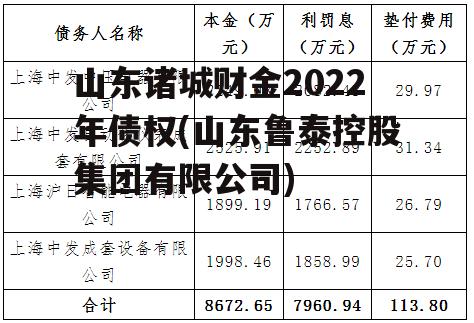山东诸城财金2022年债权(山东鲁泰控股集团有限公司)