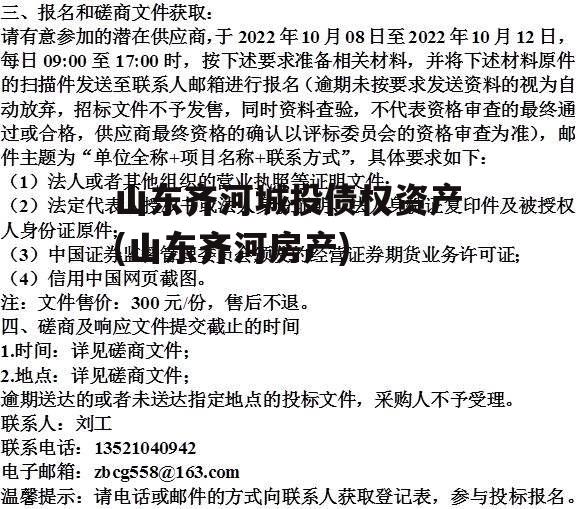 山东齐河城投债权资产(山东齐河房产)