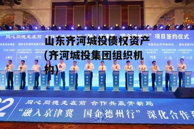 山东齐河城投债权资产(齐河城投集团组织机构)