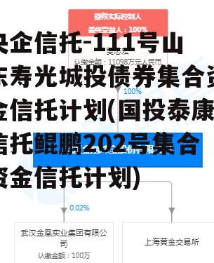 央企信托-111号山东寿光城投债券集合资金信托计划(国投泰康信托鲲鹏202号集合资金信托计划)