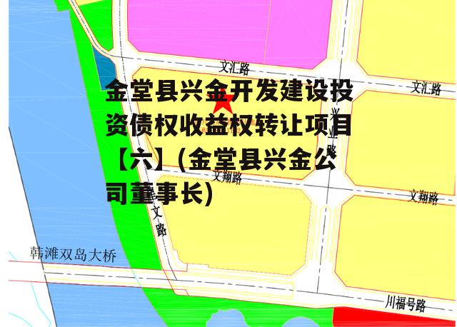 金堂县兴金开发建设投资债权收益权转让项目【六】(金堂县兴金公司董事长)