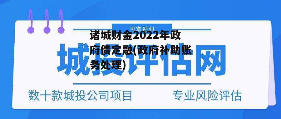 诸城财金2022年政府债定融(政府补助账务处理)