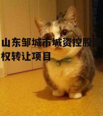 山东邹城市城资控股债权转让项目