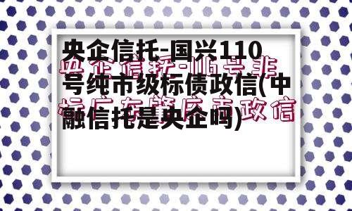 央企信托-国兴110号纯市级标债政信(中融信托是央企吗)