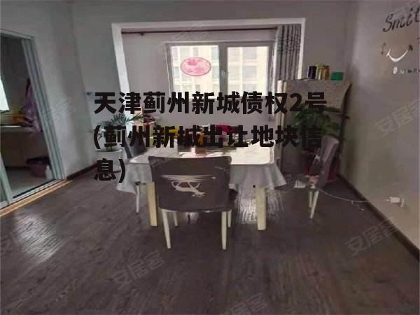 天津蓟州新城债权2号(蓟州新城出让地块信息)