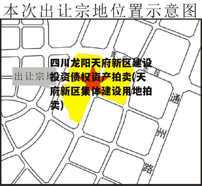 四川龙阳天府新区建设投资债权资产拍卖(天府新区集体建设用地拍卖)