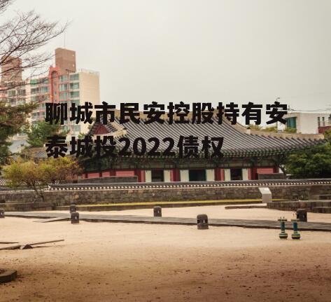 聊城市民安控股持有安泰城投2022债权