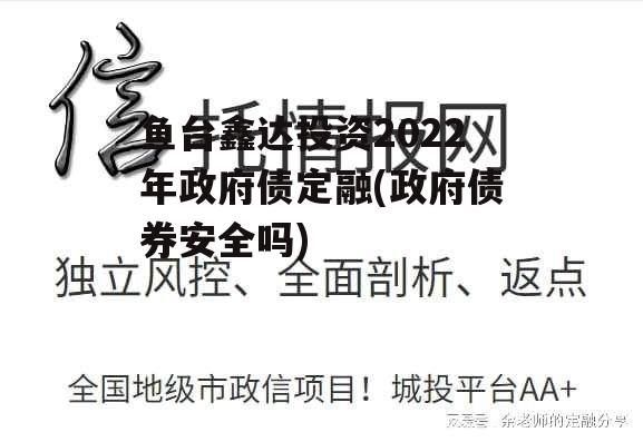 鱼台鑫达投资2022年政府债定融(政府债券安全吗)