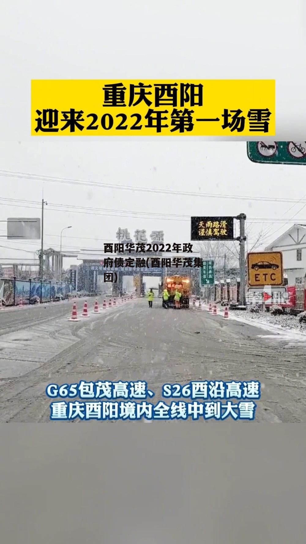 酉阳华茂2022年政府债定融(酉阳华茂集团)