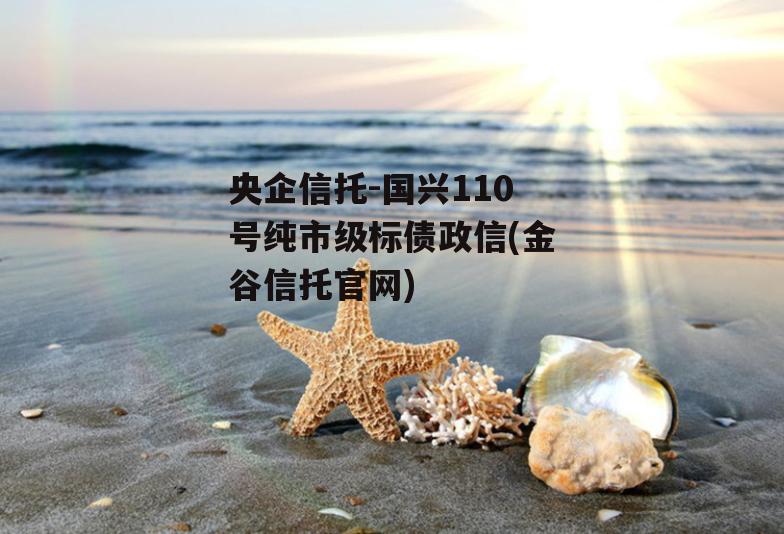 央企信托-国兴110号纯市级标债政信(金谷信托官网)