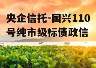 央企信托-国兴110号纯市级标债政信