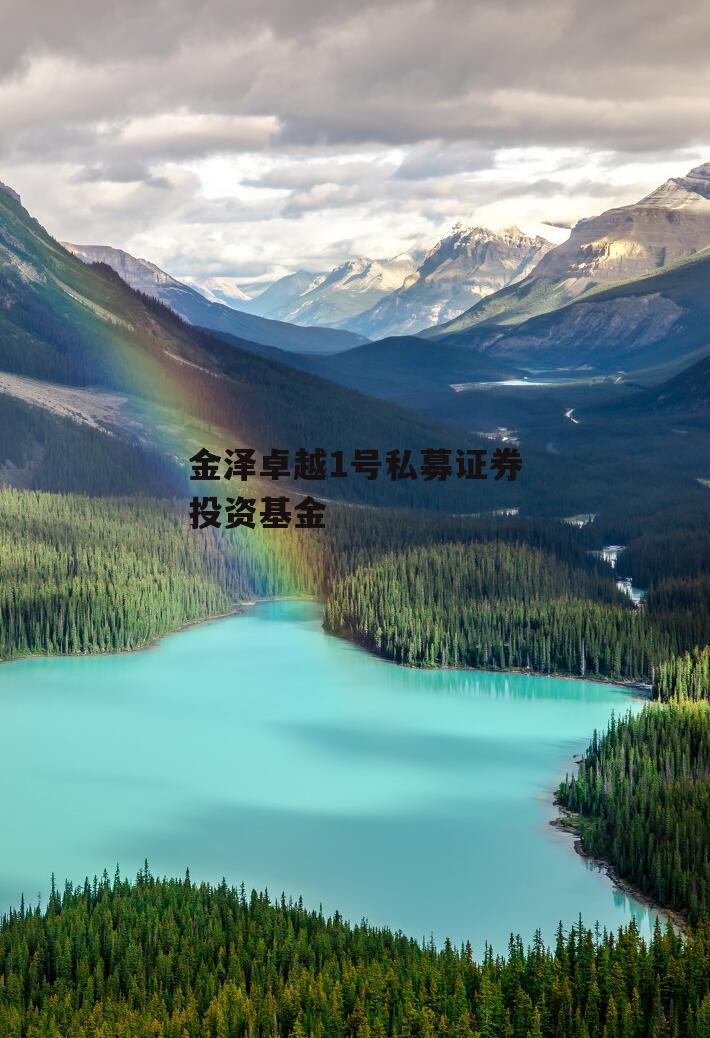 金泽卓越1号私募证券投资基金