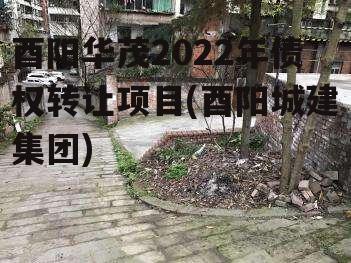 酉阳华茂2022年债权转让项目(酉阳城建集团)