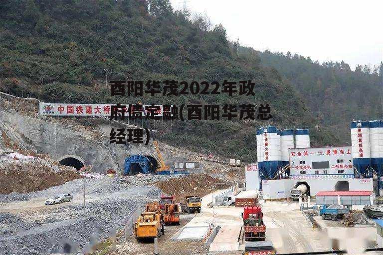 酉阳华茂2022年政府债定融(酉阳华茂总经理)