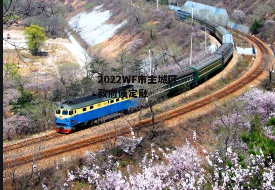 2022WF市主城区政府债定融
