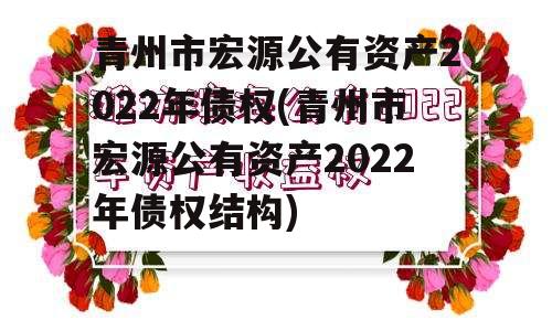 青州市宏源公有资产2022年债权(青州市宏源公有资产2022年债权结构)