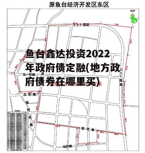 鱼台鑫达投资2022年政府债定融(地方政府债券在哪里买)