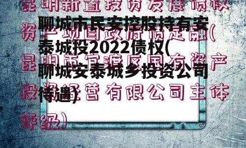 聊城市民安控股持有安泰城投2022债权(聊城安泰城乡投资公司待遇)
