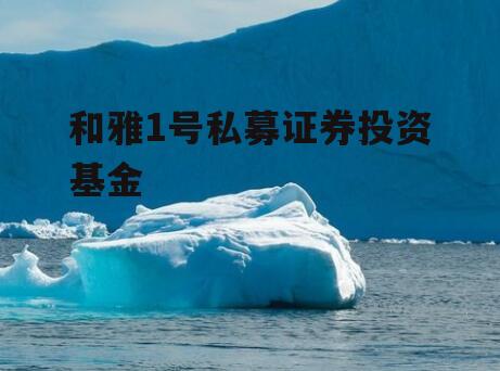 和雅1号私募证券投资基金
