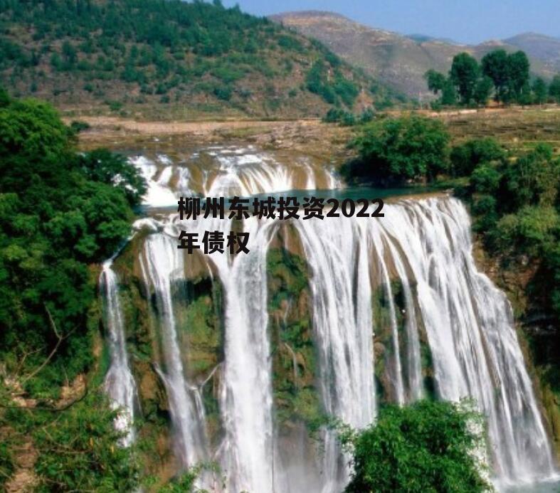 柳州东城投资2022年债权