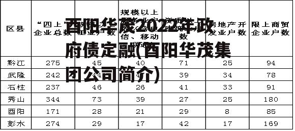 酉阳华茂2022年政府债定融(酉阳华茂集团公司简介)