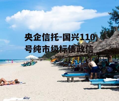 央企信托-国兴110号纯市级标债政信
