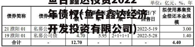 鱼台鑫达投资2022年债权(鱼台鑫达经济开发投资有限公司)