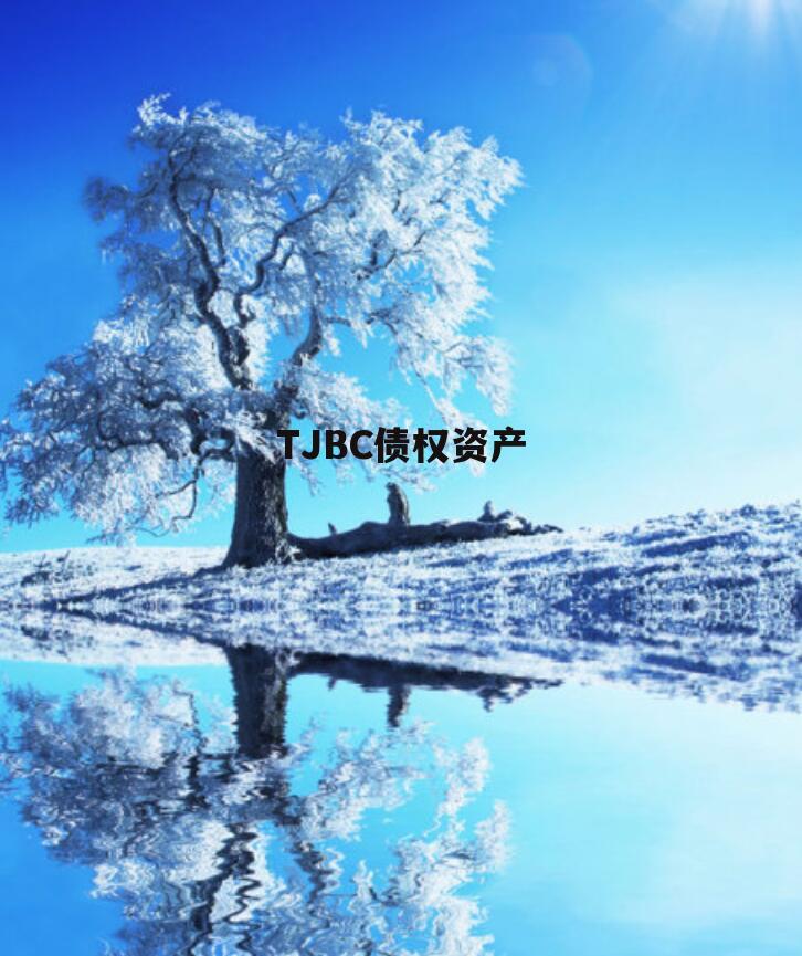 TJBC债权资产