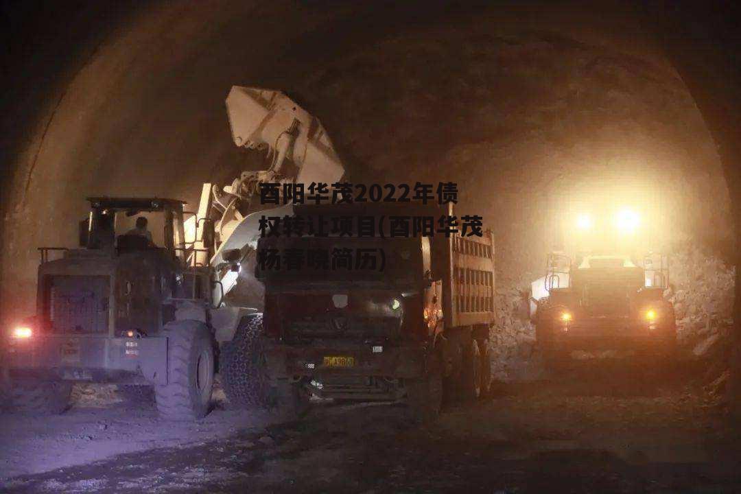 酉阳华茂2022年债权转让项目(酉阳华茂杨春晓简历)