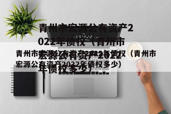 青州市宏源公有资产2022年债权（青州市宏源公有资产2022年债权多少）