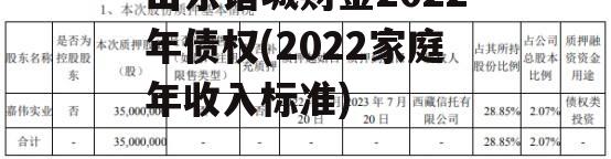 山东诸城财金2022年债权(2022家庭年收入标准) 山东诸城财金2022年债权(2022家庭年收入标准)