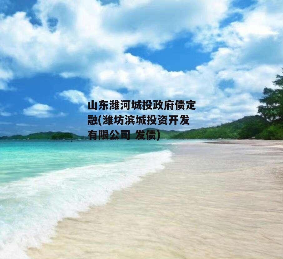 山东潍河城投政府债定融(潍坊滨城投资开发有限公司 发债)