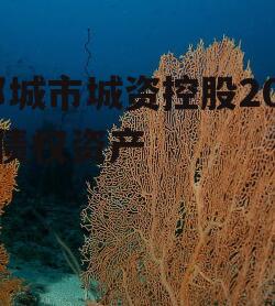 邹城市城资控股2022债权资产