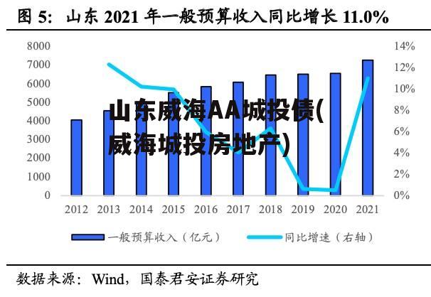山东威海AA城投债(威海城投房地产)