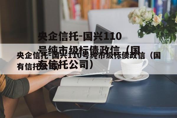 央企信托-国兴110号纯市级标债政信（国有信托公司）