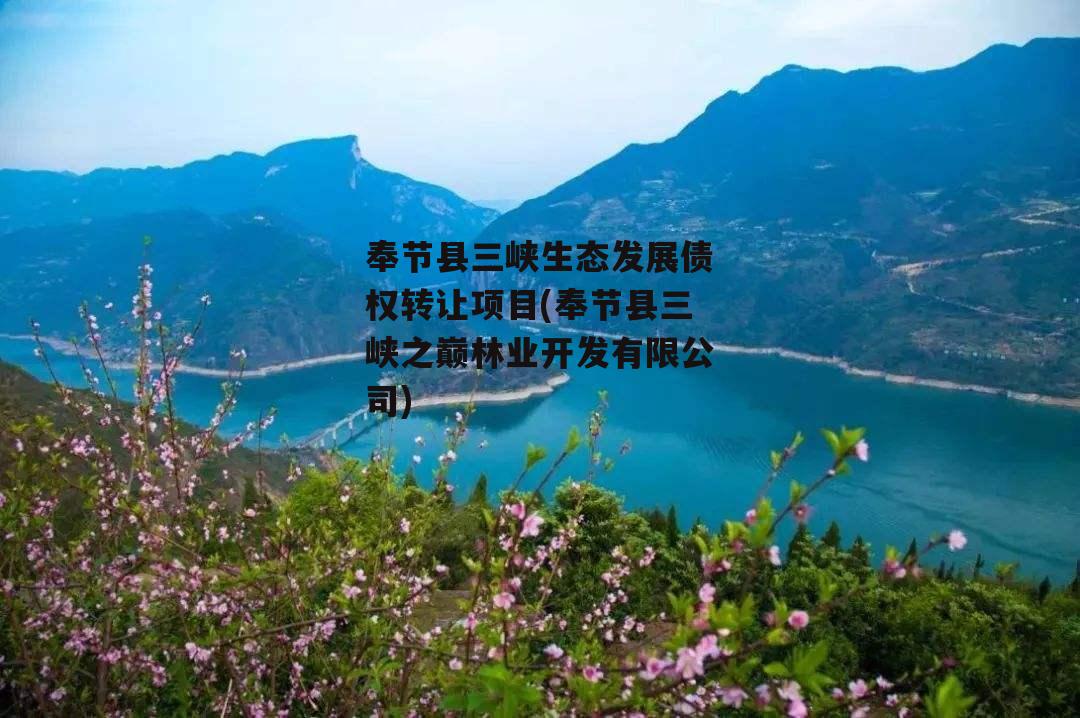 奉节县三峡生态发展债权转让项目(奉节县三峡之巅林业开发有限公司)