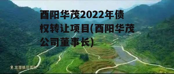 酉阳华茂2022年债权转让项目(酉阳华茂公司董事长)