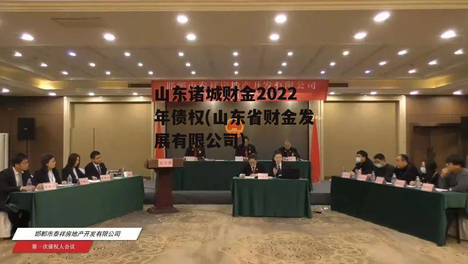 山东诸城财金2022年债权(山东省财金发展有限公司)